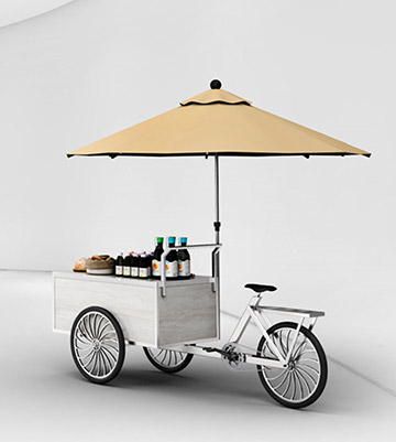 Deson Modular Tricycle Trolley